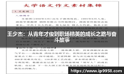 lewin乐玩官网王少杰：从青年才俊到职场精英的成长之路与奋斗故事
